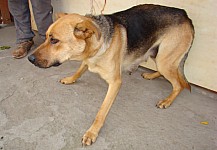48253.jpg 48253.jpg